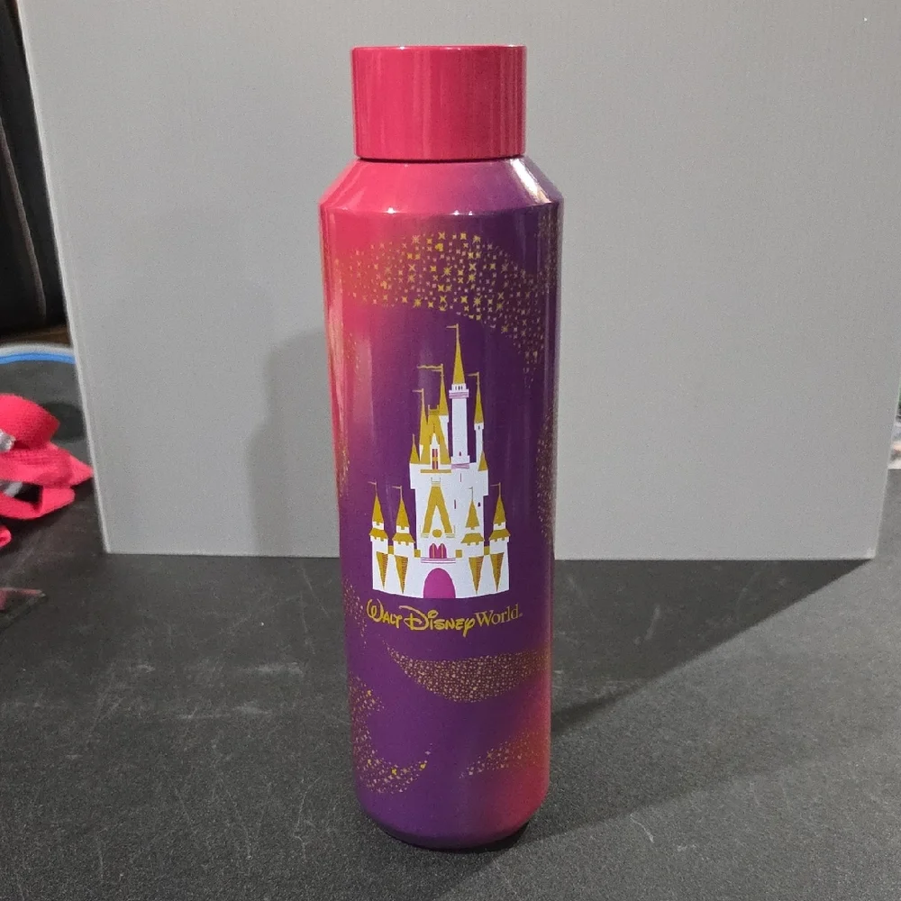 Disney Starbucks Metal Bottle